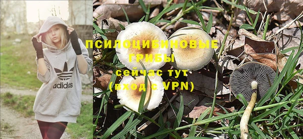 ПСИЛОЦИБИНОВЫЕ ГРИБЫ Куйбышев
