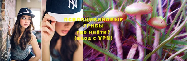 экстази Кулебаки