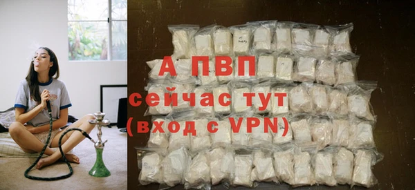 ПСИЛОЦИБИНОВЫЕ ГРИБЫ Куйбышев