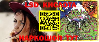 гашик Бийск