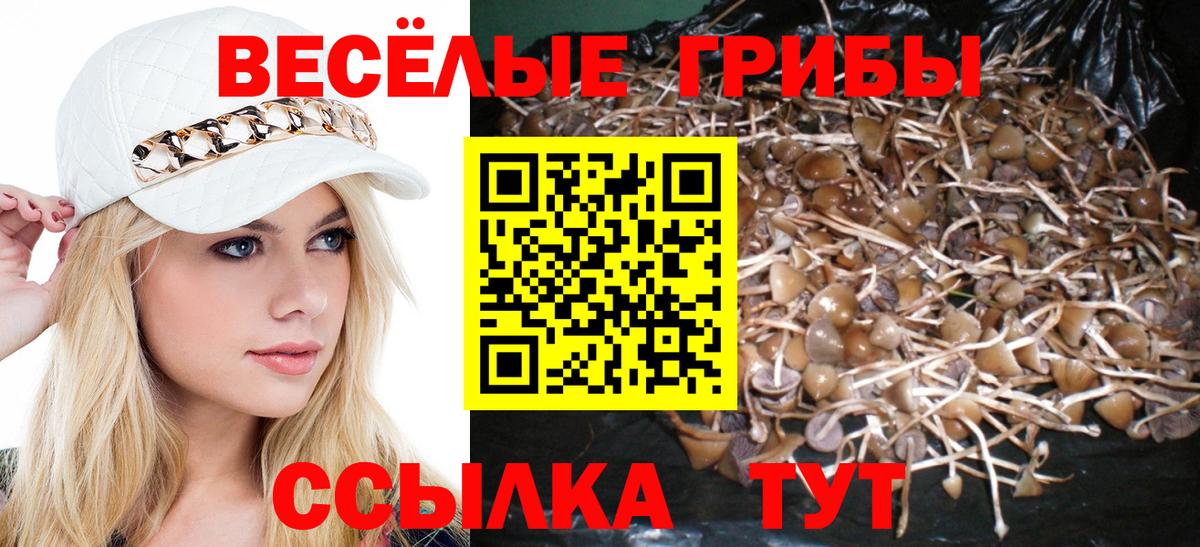 A PVP  Лсд 25  Мяу-Мяу  Раменское  Гашик  Марихуана  Вход с VPN 