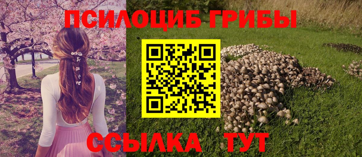 Галлюциногенные грибы Cubensis  Галлюциногенные грибы GOLDEN TEACHER  Раменское  Вход с VPN 