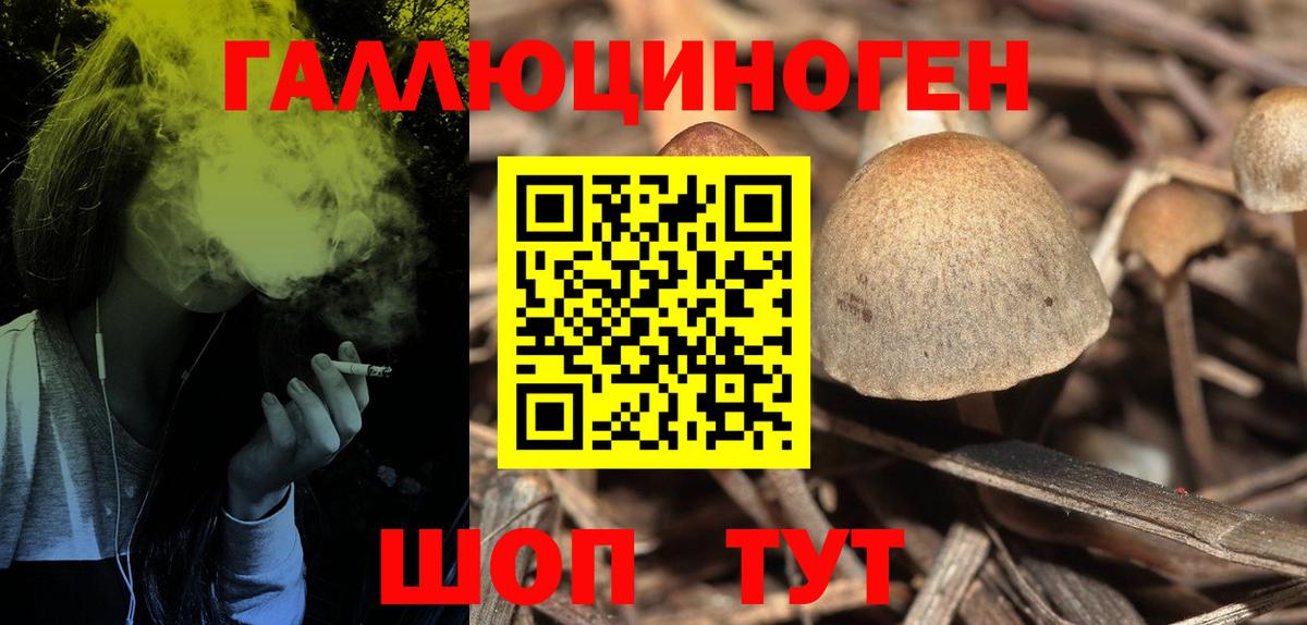 Псилоцибиновые грибы мицелий  наркотики  Раменское 