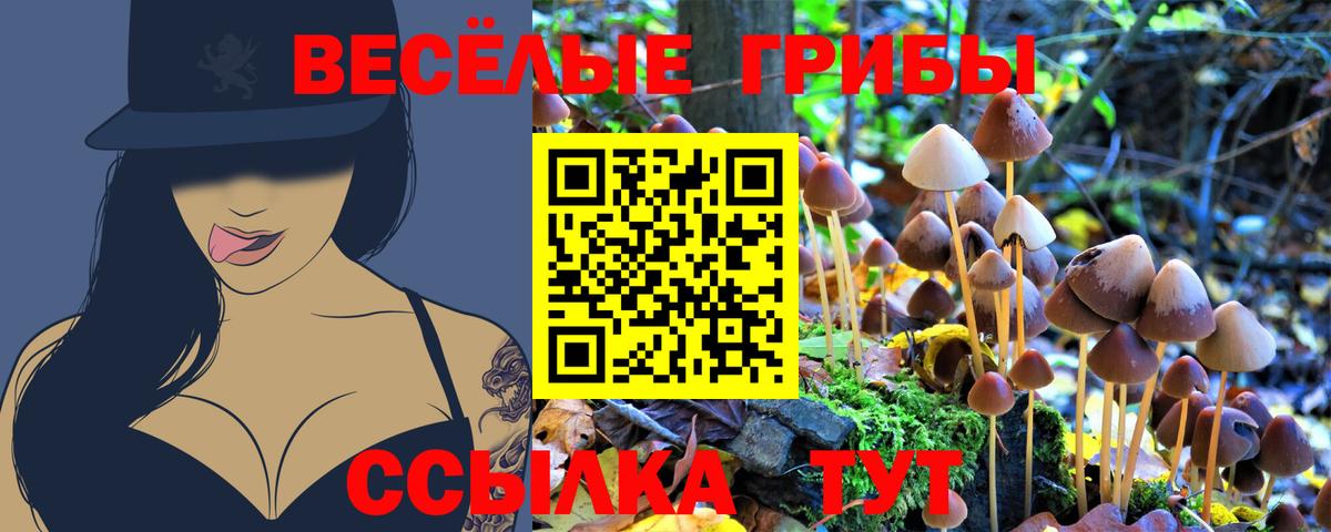 Галлюциногенные грибы MAGIC MUSHROOMS Раменское