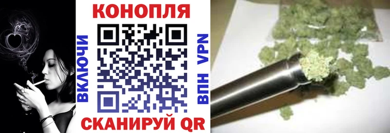 Бошки Шишки ГИДРОПОН  Раменское 